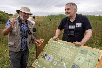 Steart Marshes becomes a designated dragonfly hotspot!